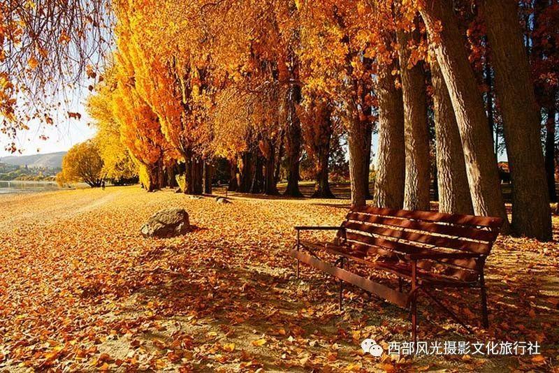 巫师之徒